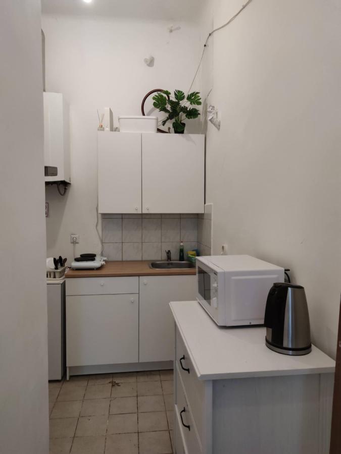 Room With Privat Shower In 3 Rooms Apartment Відень Екстер'єр фото